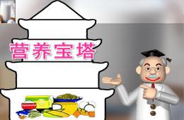 大班健康營養寶塔PPT課件