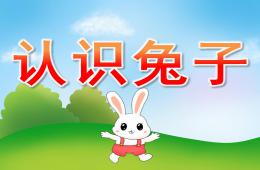 小班科學(xué)認(rèn)識兔子PPT課件
