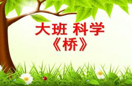 大班科學橋PPT課件