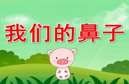 大班健康我們的鼻子PPT課件