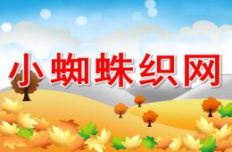 大班美術小蜘蛛織網PPT課件