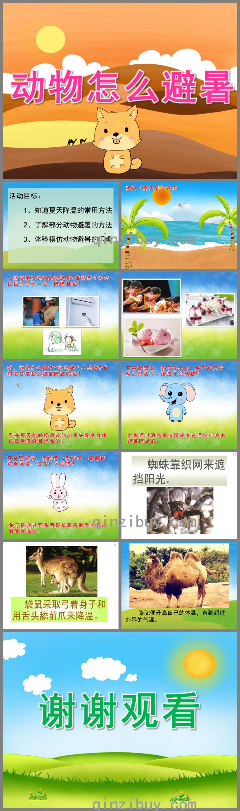 中班科學動物怎么避暑PPT課件音效動畫
