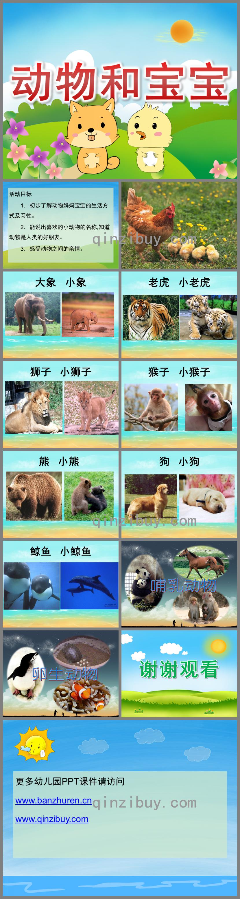 中班主題動物和寶寶PPT課件
