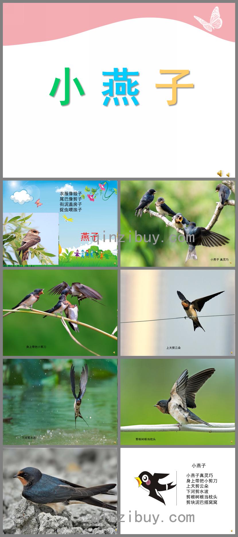 幼兒園動物兒歌小燕子PPT課件配音音樂