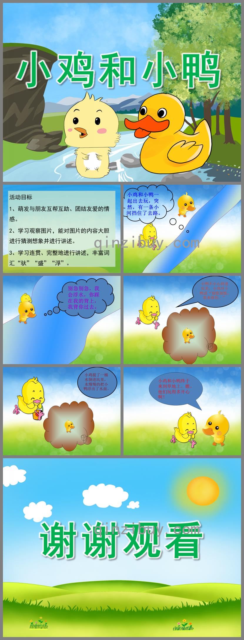 中班語言故事小雞和小鴨PPT課件