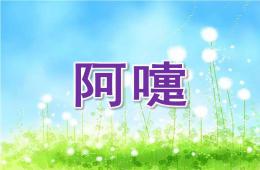 中班健康阿嚏PPT課件