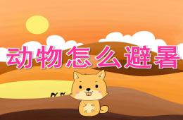 中班科學動物怎么避暑PPT課件音效動畫