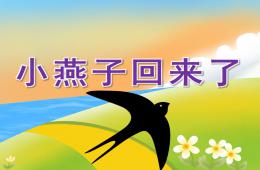中班科學小燕子回來了PPT課件