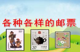 大班社會各種各樣的郵票PPT課件