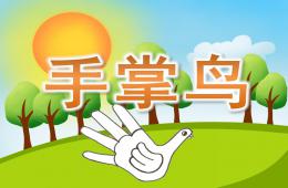 中班美術手掌鳥PPT課件