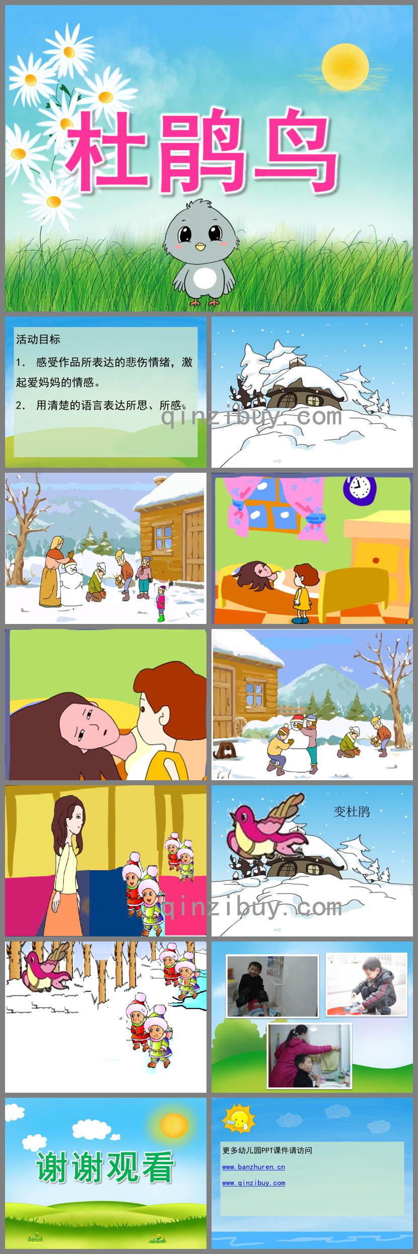 大班主題杜鵑鳥PPT課件