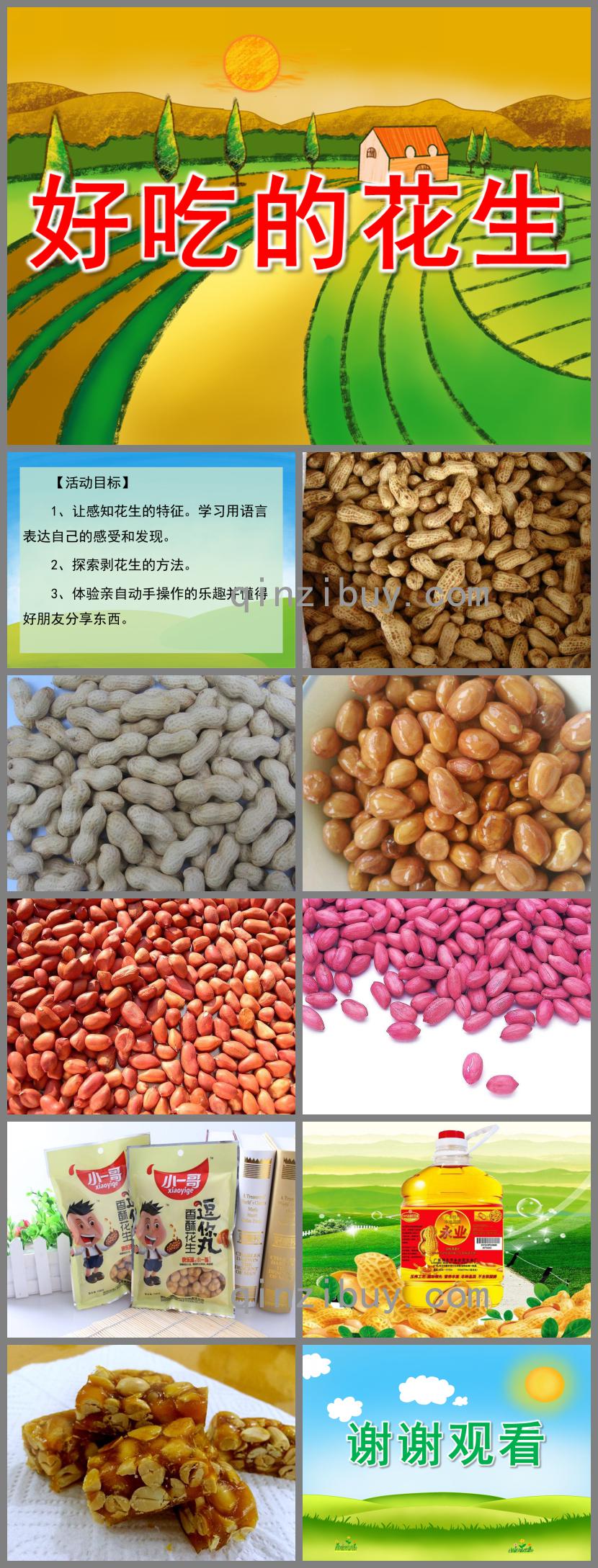 小班科學公開課好吃的花生PPT課件