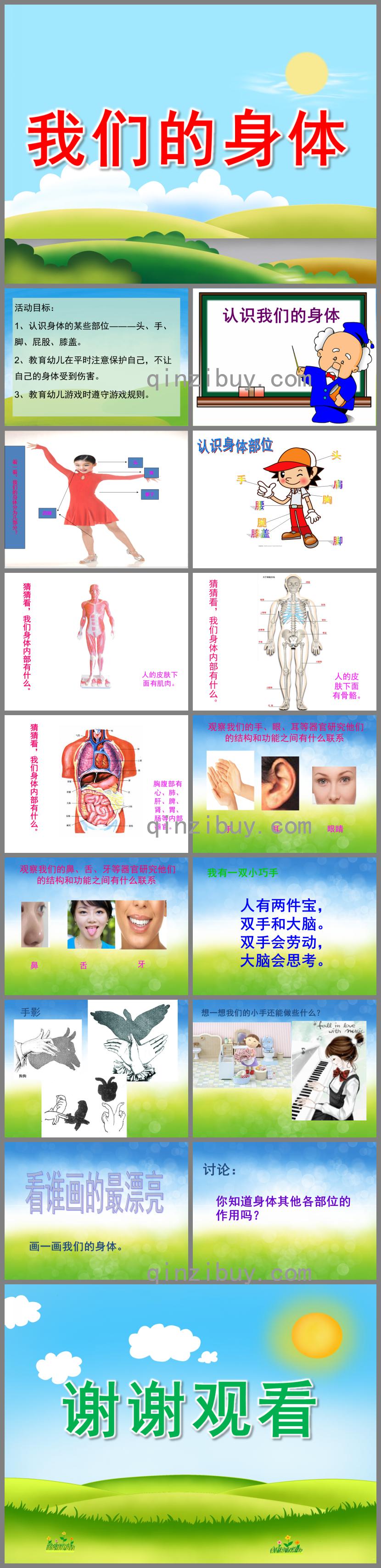 幼兒園助教我們的身體PPT課件