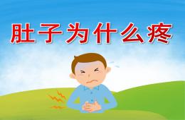 中班安全肚子為什么疼PPT課件
