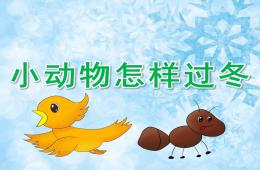 大班科學(xué)小動物怎樣過冬PPT課件