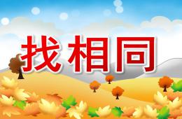 中班數學活動找相同PPT課件