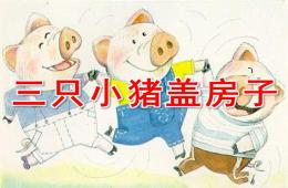 大班語言三只小豬蓋房子PPT課件