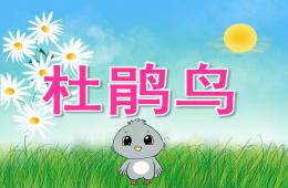 大班主題杜鵑鳥PPT課件