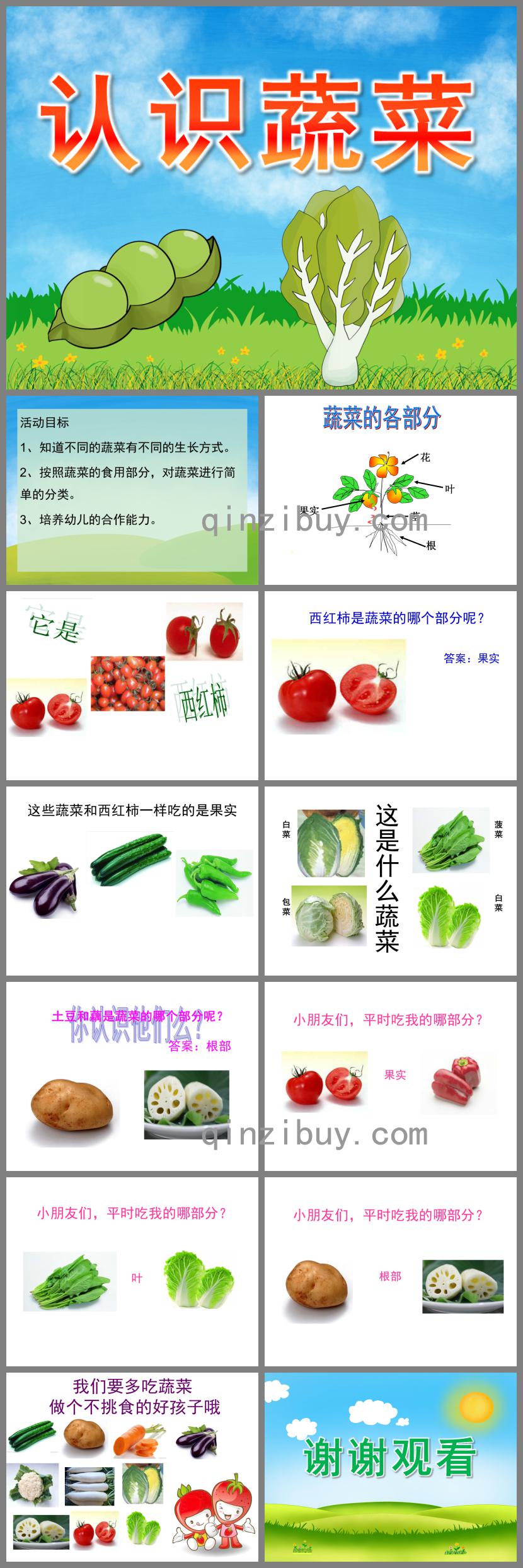 中班科學活動認識蔬菜PPT課件