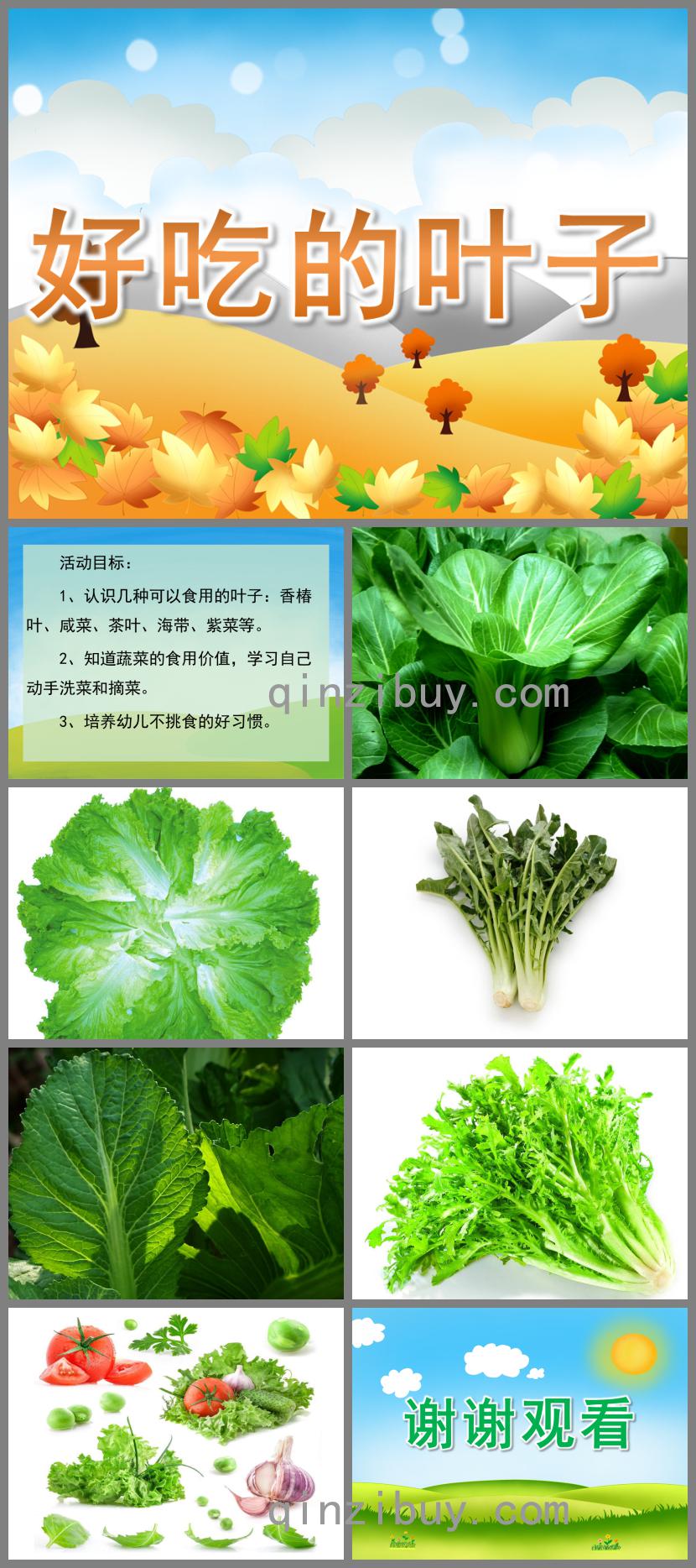 大班社會(huì)好吃的葉子PPT課件