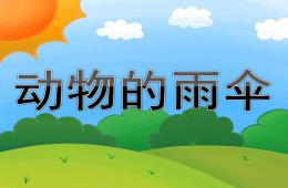 中班語言公開課動物的雨傘PPT課件