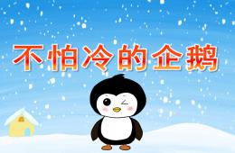 中班科學(xué)不怕冷的企鵝PPT課件