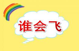 幼兒園游戲活動誰會飛PPT課件音樂
