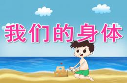 大班健康我們的身體PPT課件