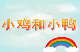 小班科學公開課小雞和小鴨PPT課件