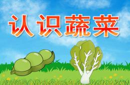 中班科學活動認識蔬菜PPT課件