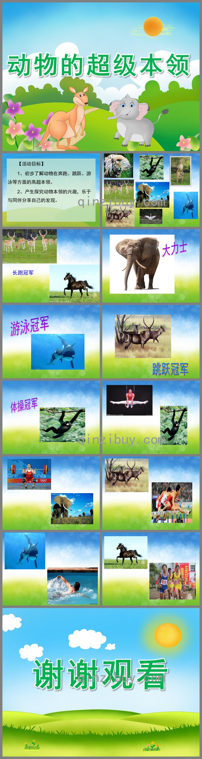 中班科學動物的超級本領PPT課件