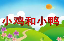 幼兒園故事小雞和小鴨PPT課件