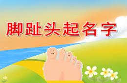 大班社會腳趾頭起名字PPT課件音頻音樂