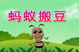 幼兒園螞蟻搬豆PPT課件動(dòng)畫音樂