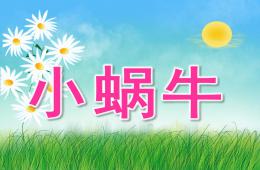 大班美術(shù)手工小蝸牛PPT課件