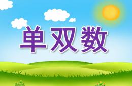 大班單雙數PPT課件