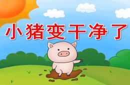 幼兒園教學小豬變干凈了PPT課件
