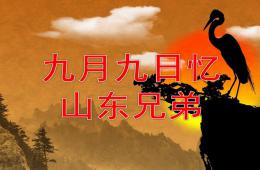 大班重陽節古詩九月九日憶山東兄弟PPT課件動畫