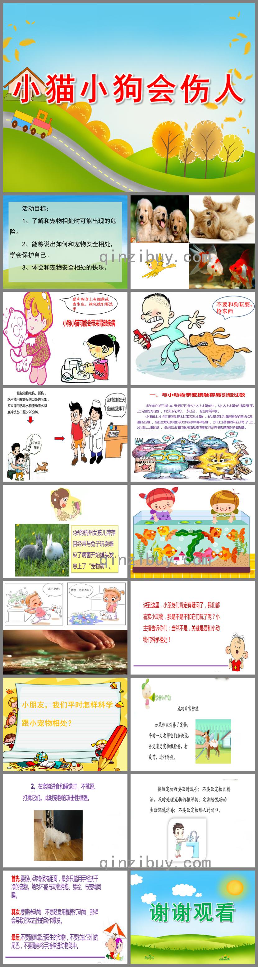 大班安全和寵物相處PPT課件