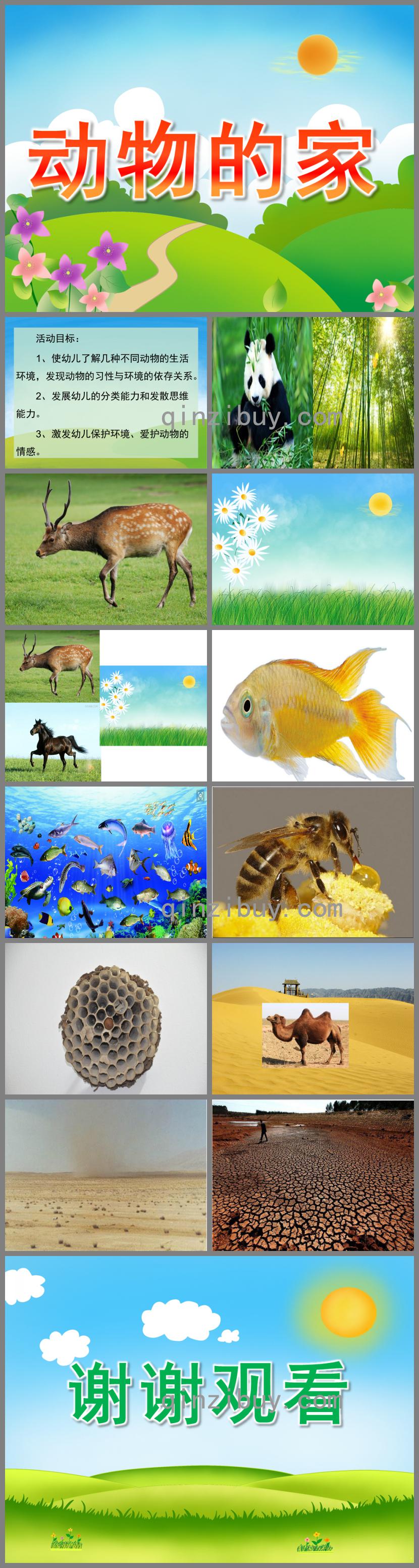 中班科學(xué)活動動物的家PPT課件