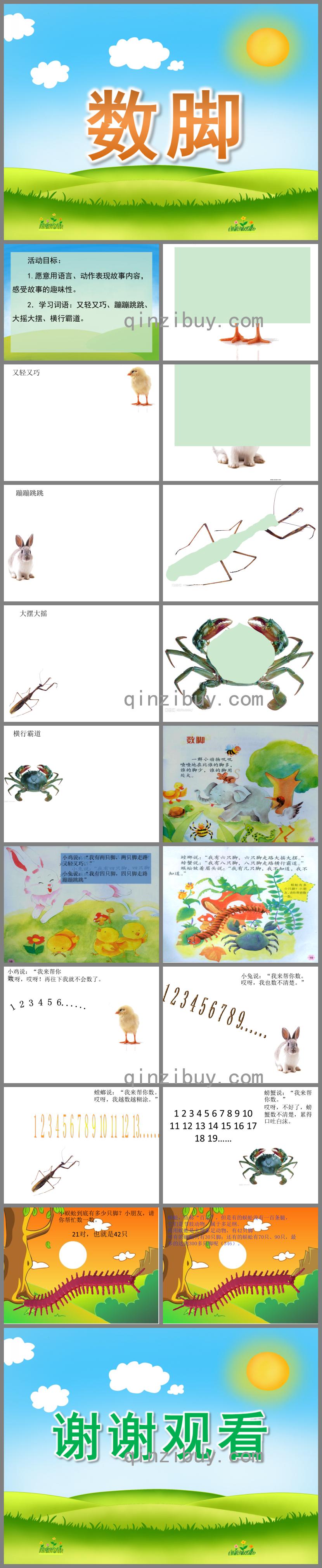 中班故事數腳PPT課件