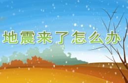 大班科學地震來了怎么辦PPT課件