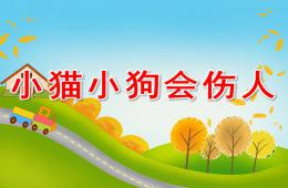 大班安全和寵物相處PPT課件