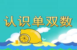 大班計算認識單雙數PPT課件