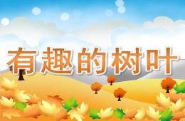 中班科學有趣的樹葉PPT課件