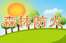 大班安全教育森林防火PPT課件