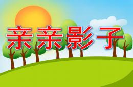 中班科學親親影子PPT課件
