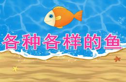 中班科學各種各樣的魚PPT課件