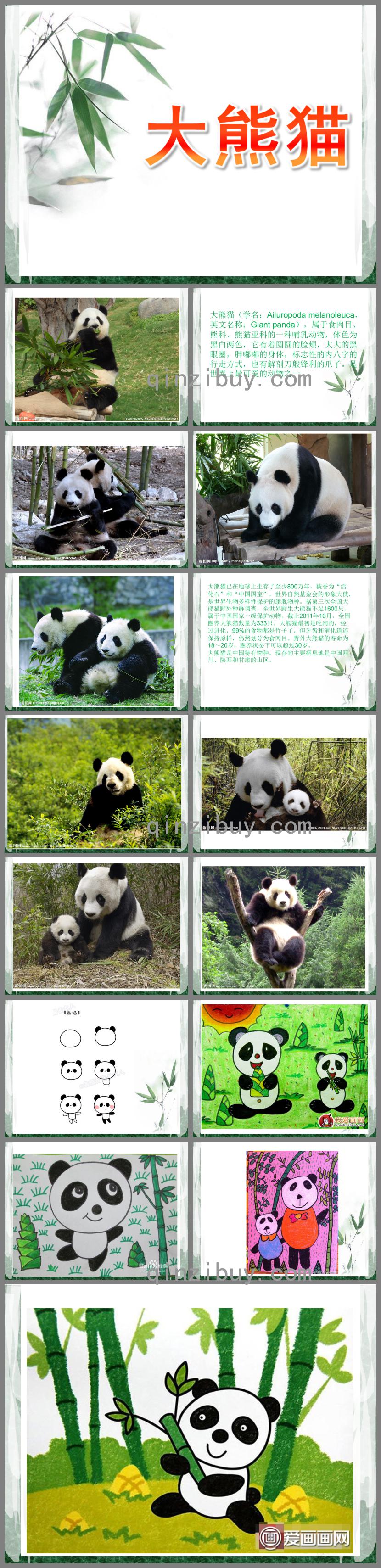 小班繪畫大熊貓PPT課件
