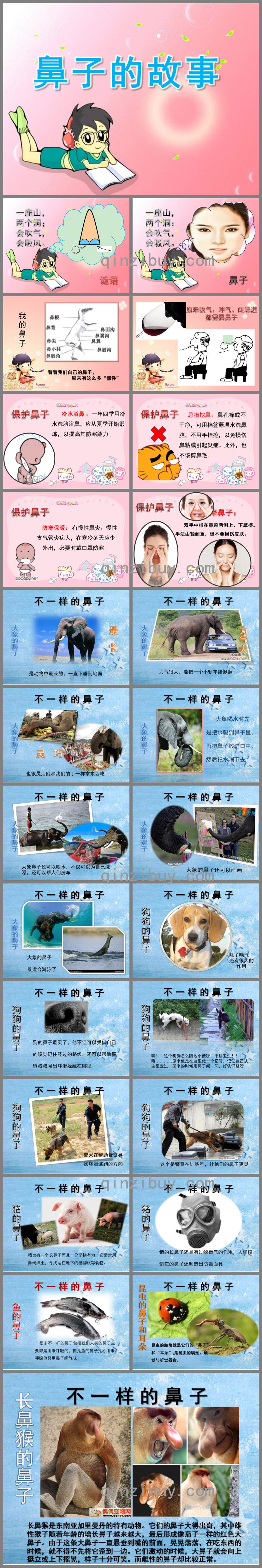 幼兒園鼻子的故事PPT課件
